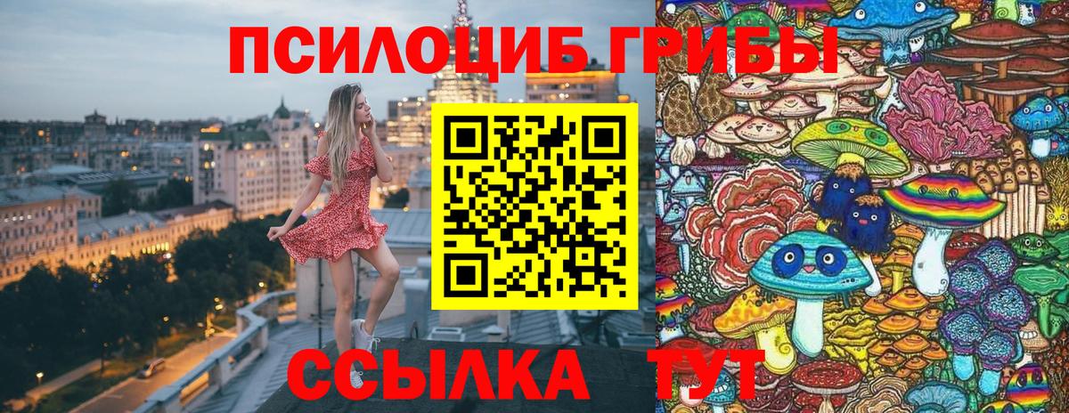 Псилоцибиновые грибы Psilocybine cubensis Вязники