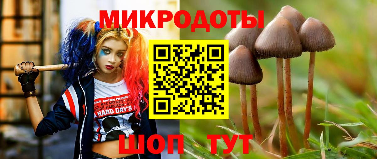 Вязники  Галлюциногенные грибы мицелий  Вход с VPN 